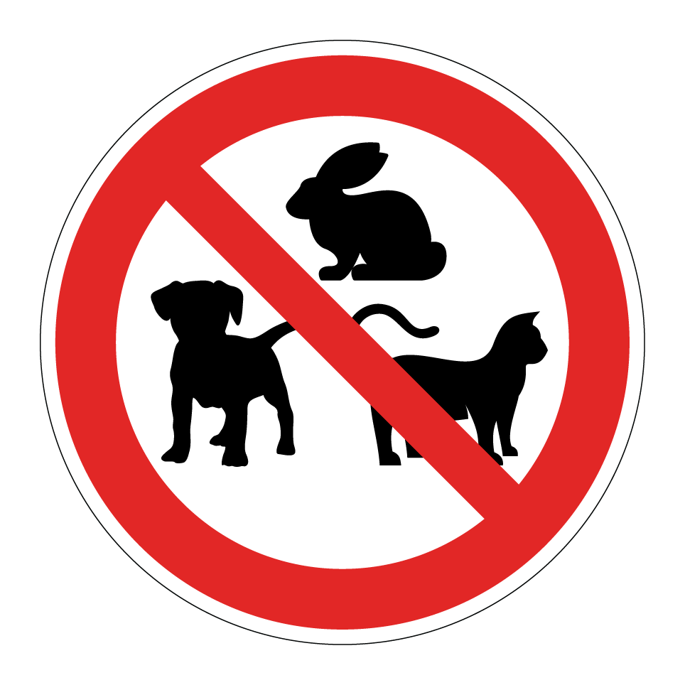 Pas d’animaux