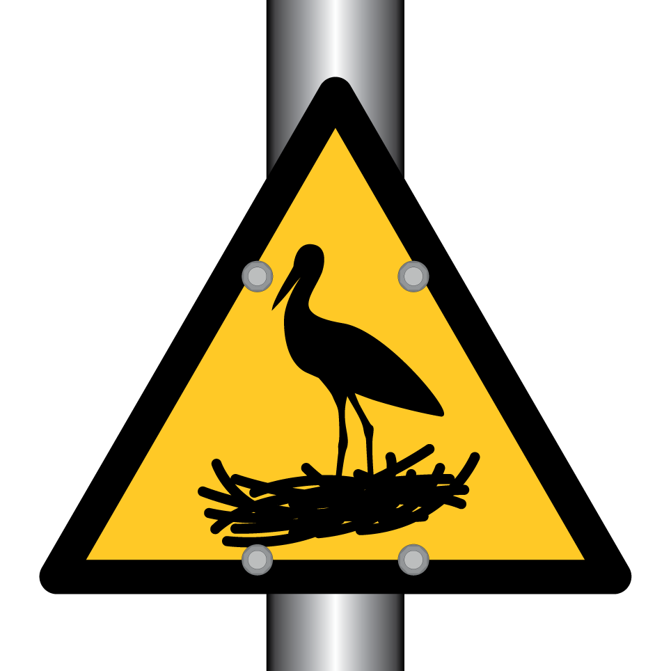 Attention aux oiseaux nicheurs