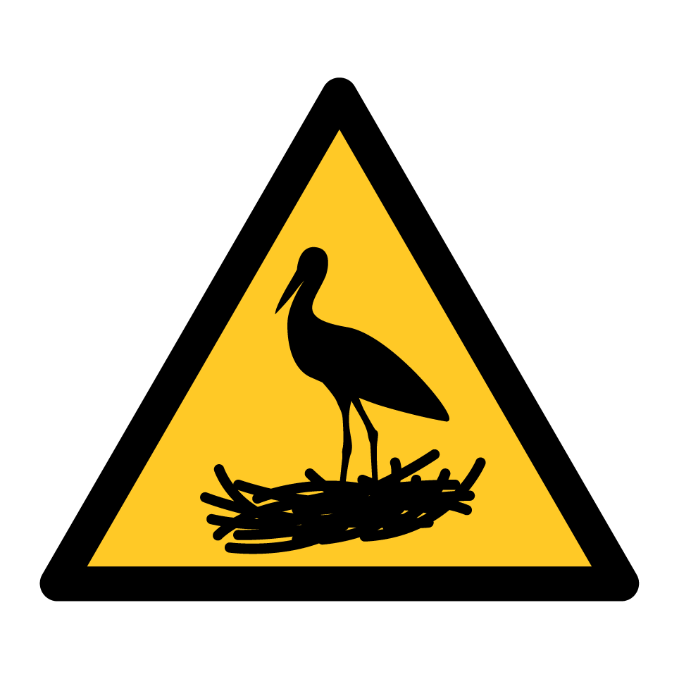 Attention aux oiseaux nicheurs