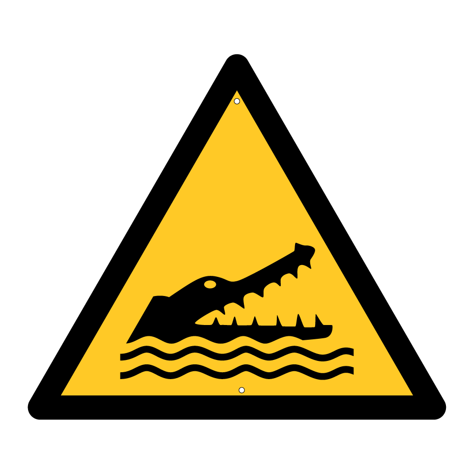 Attention crocodiles