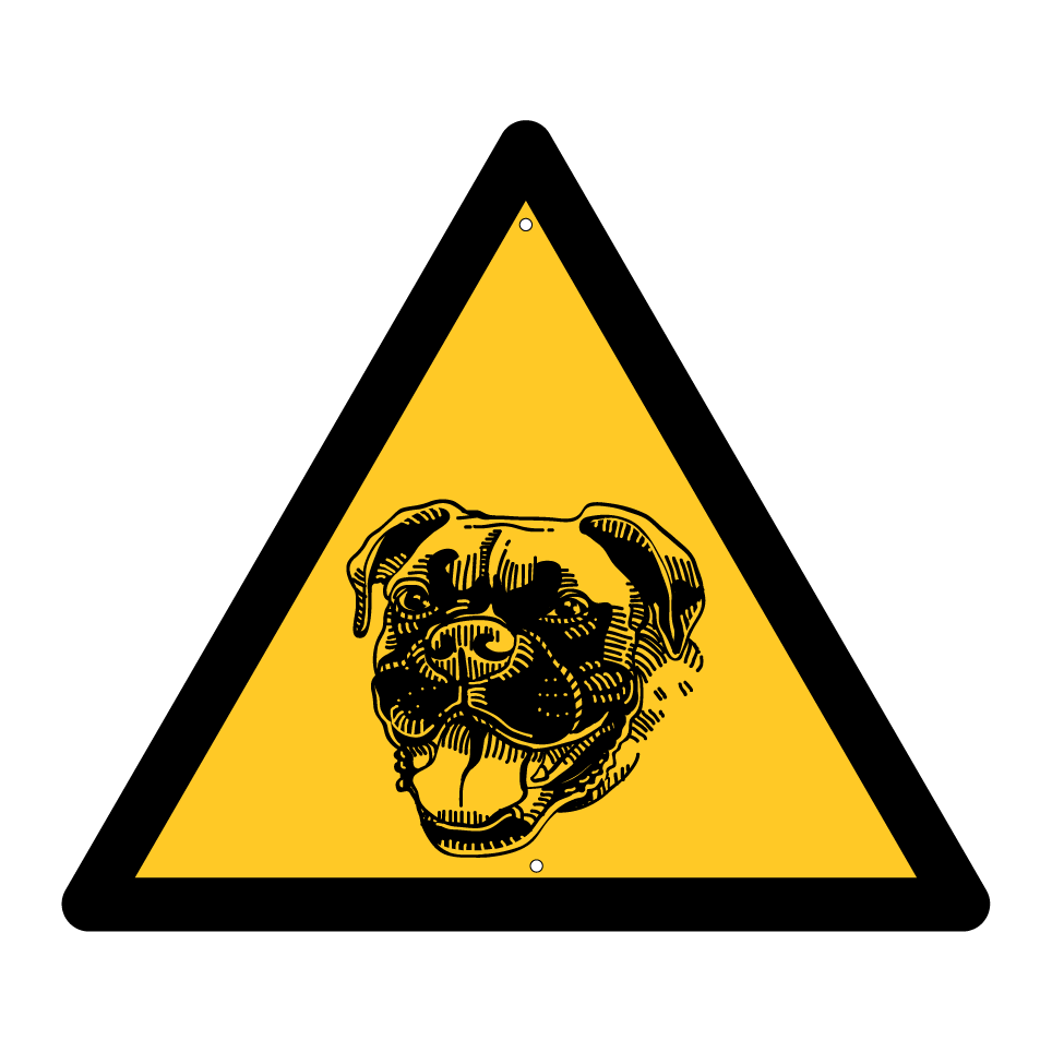 Chien boxeur de garde
