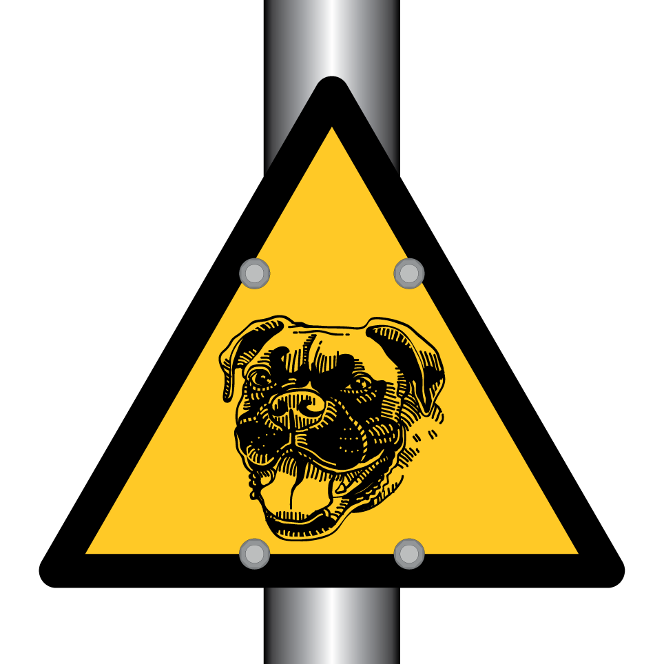 Chien boxeur de garde