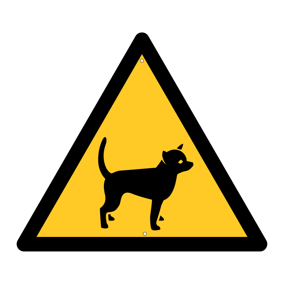 Chihuahua d’avertissement