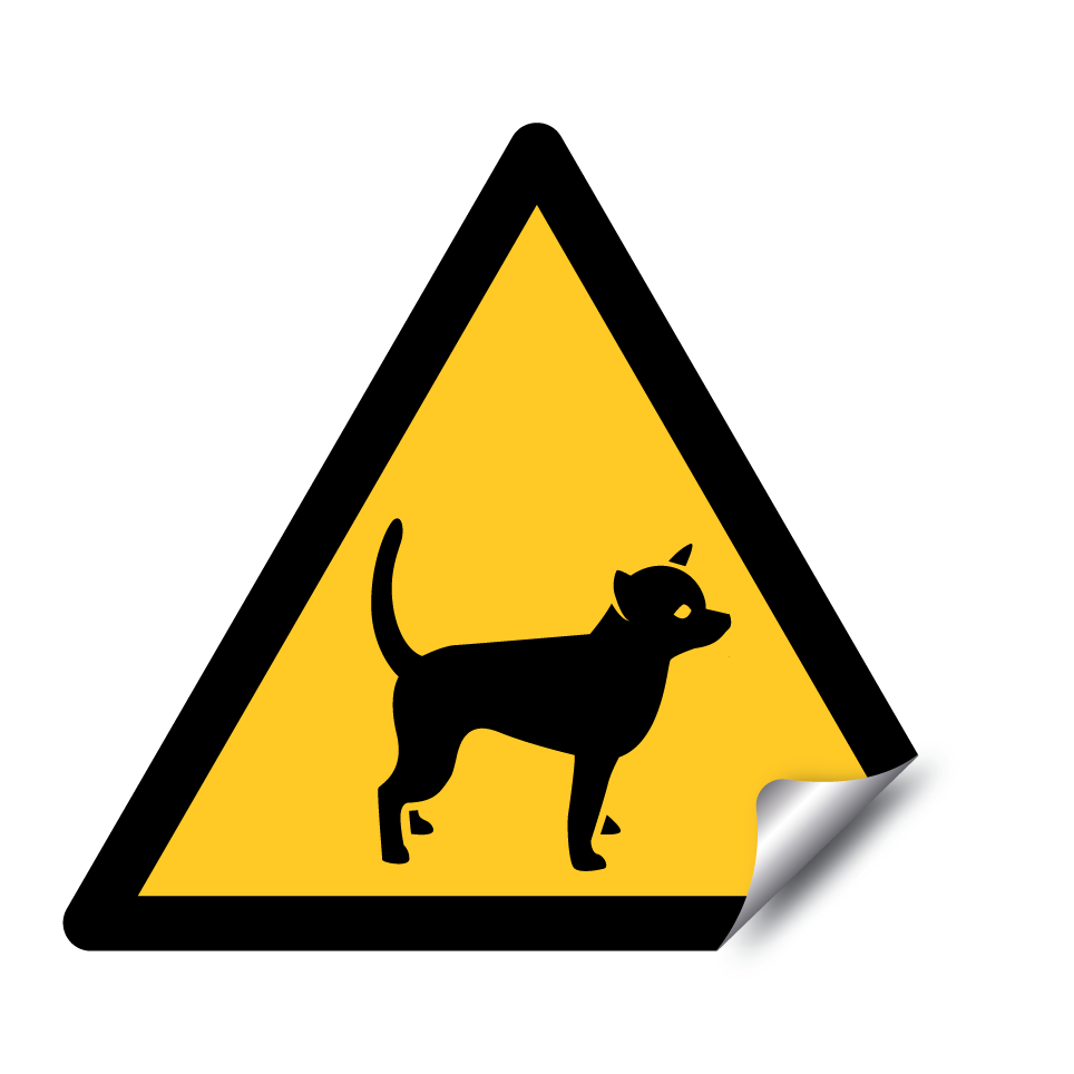 Chihuahua d’avertissement