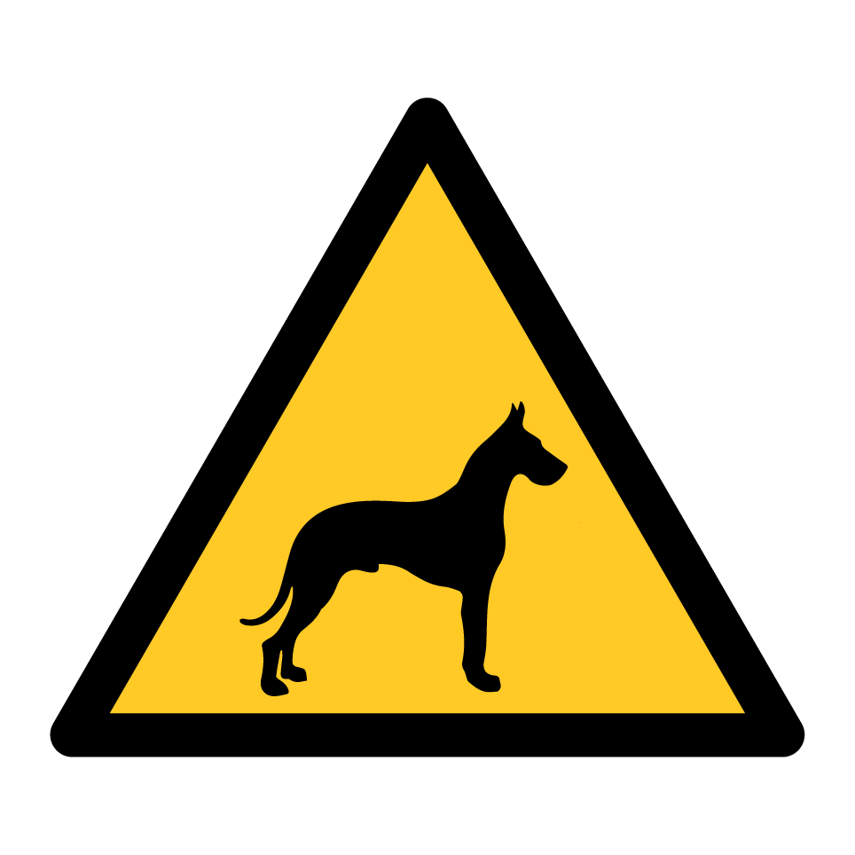 Attention grand danois