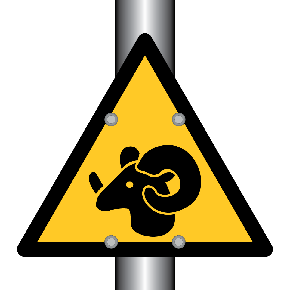Avertissement RAM
