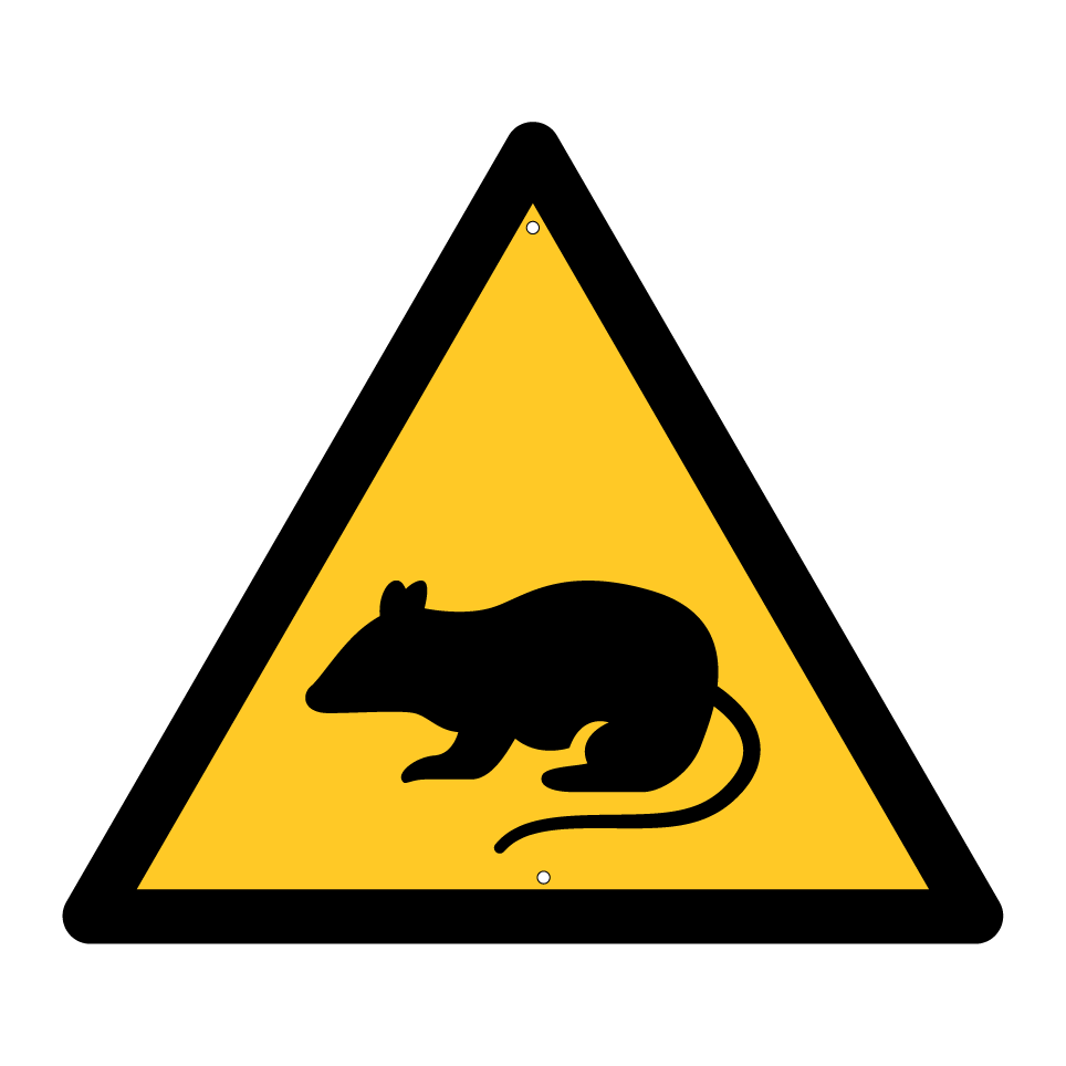 Rat d'avertissement