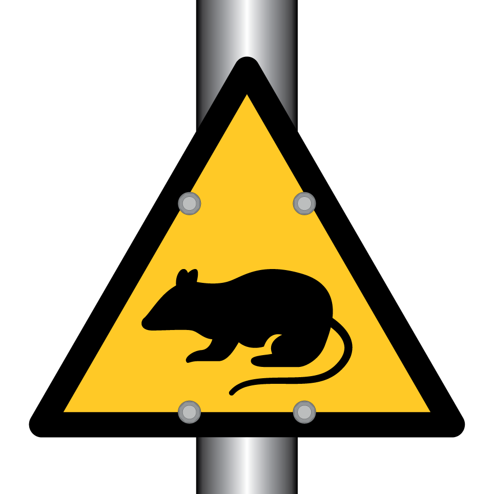 Rat d'avertissement