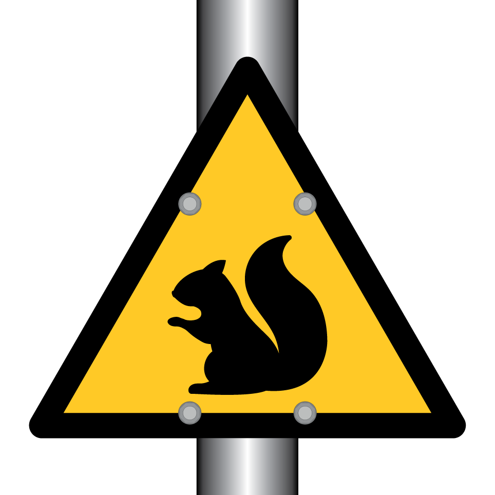Écureuil d’avertissement