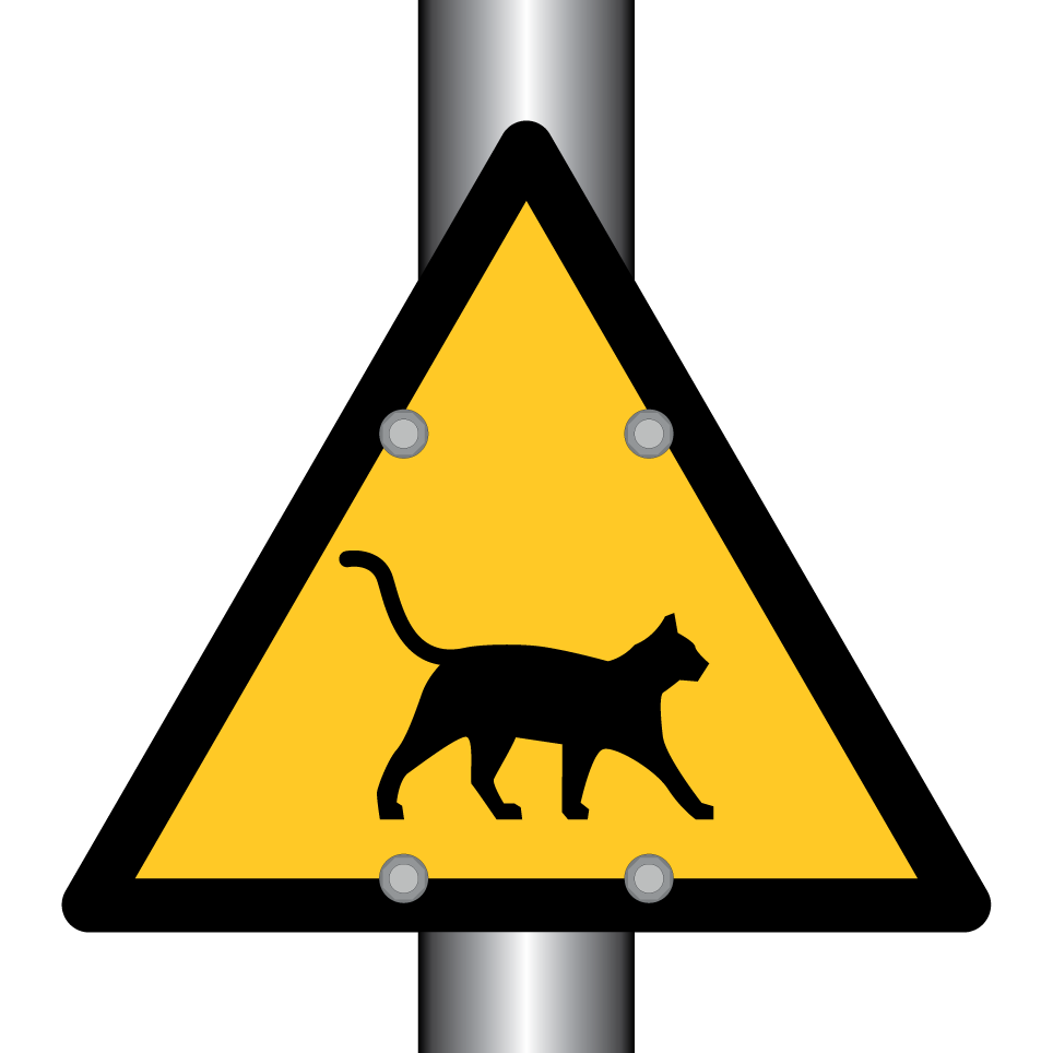 Attention chat traversant