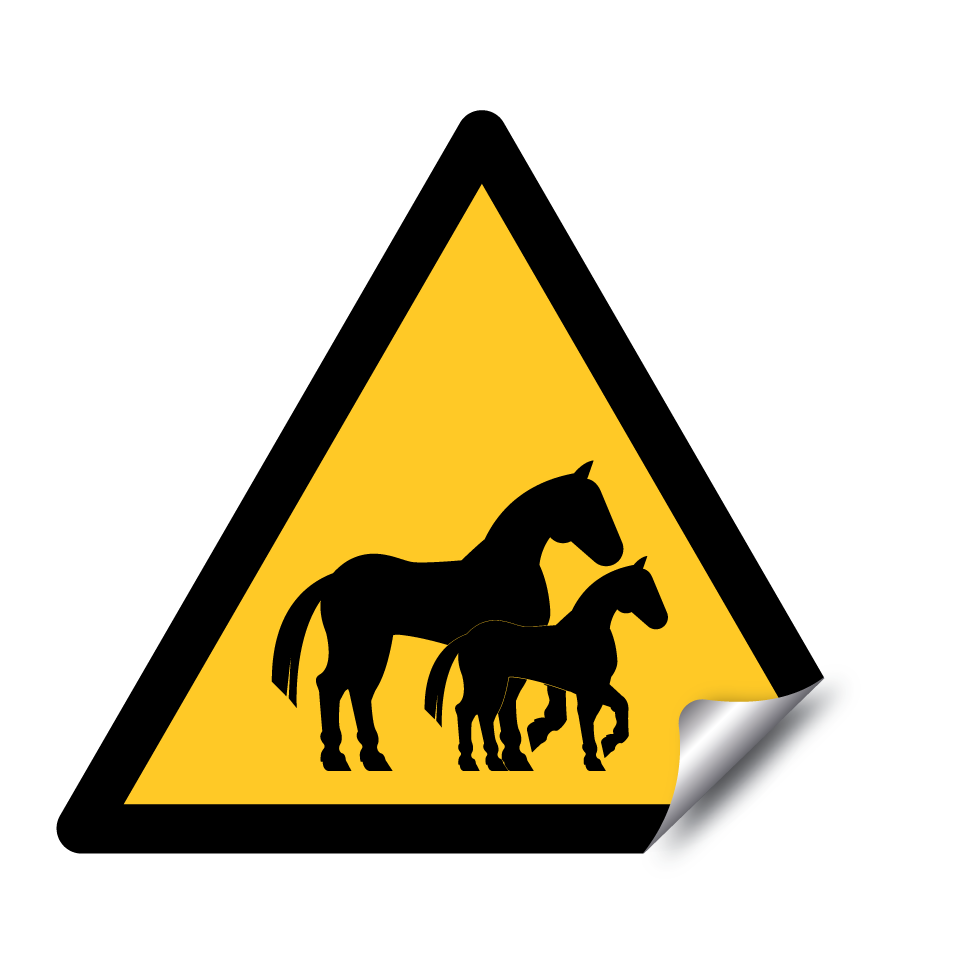 Chevaux avec poulain