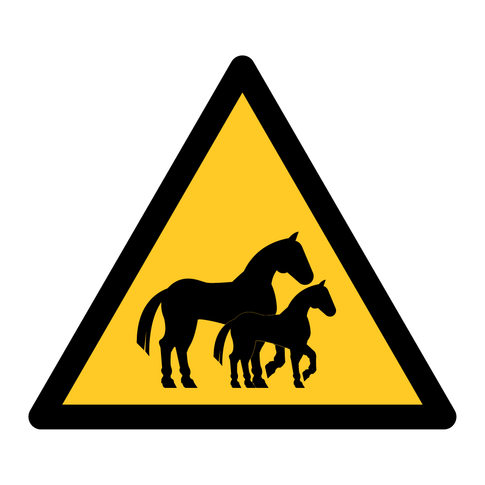 Chevaux avec poulain